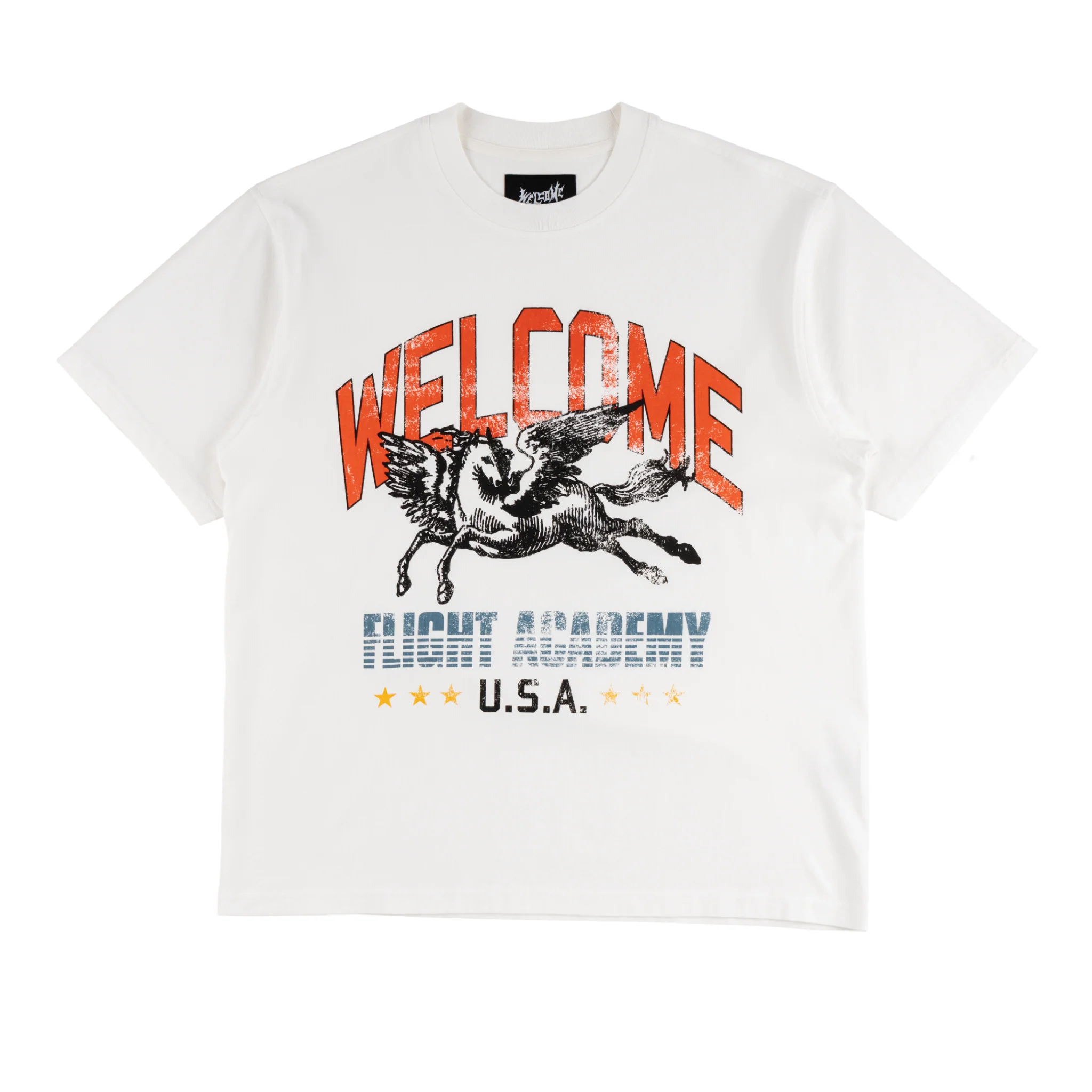 Pegasus Boxy Tee
